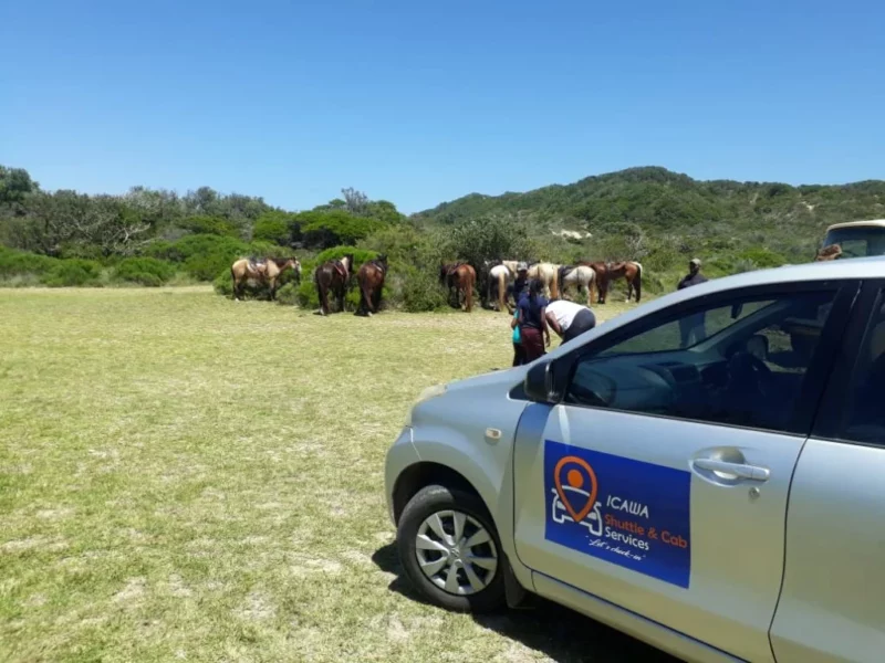 Icawa Shuttle and Cab Services